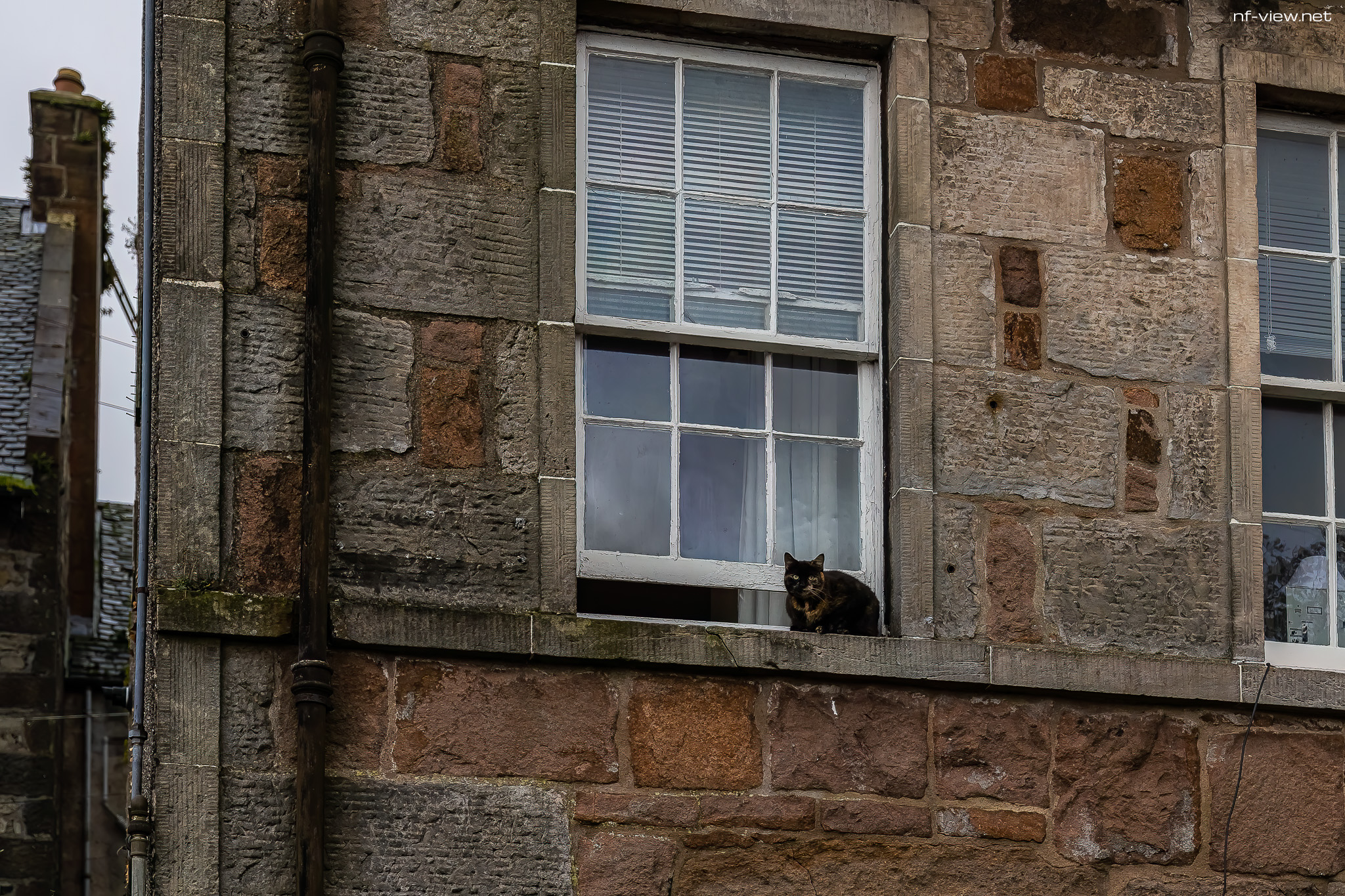 20221031-BD5A1977-SCO2022-Campbeltown