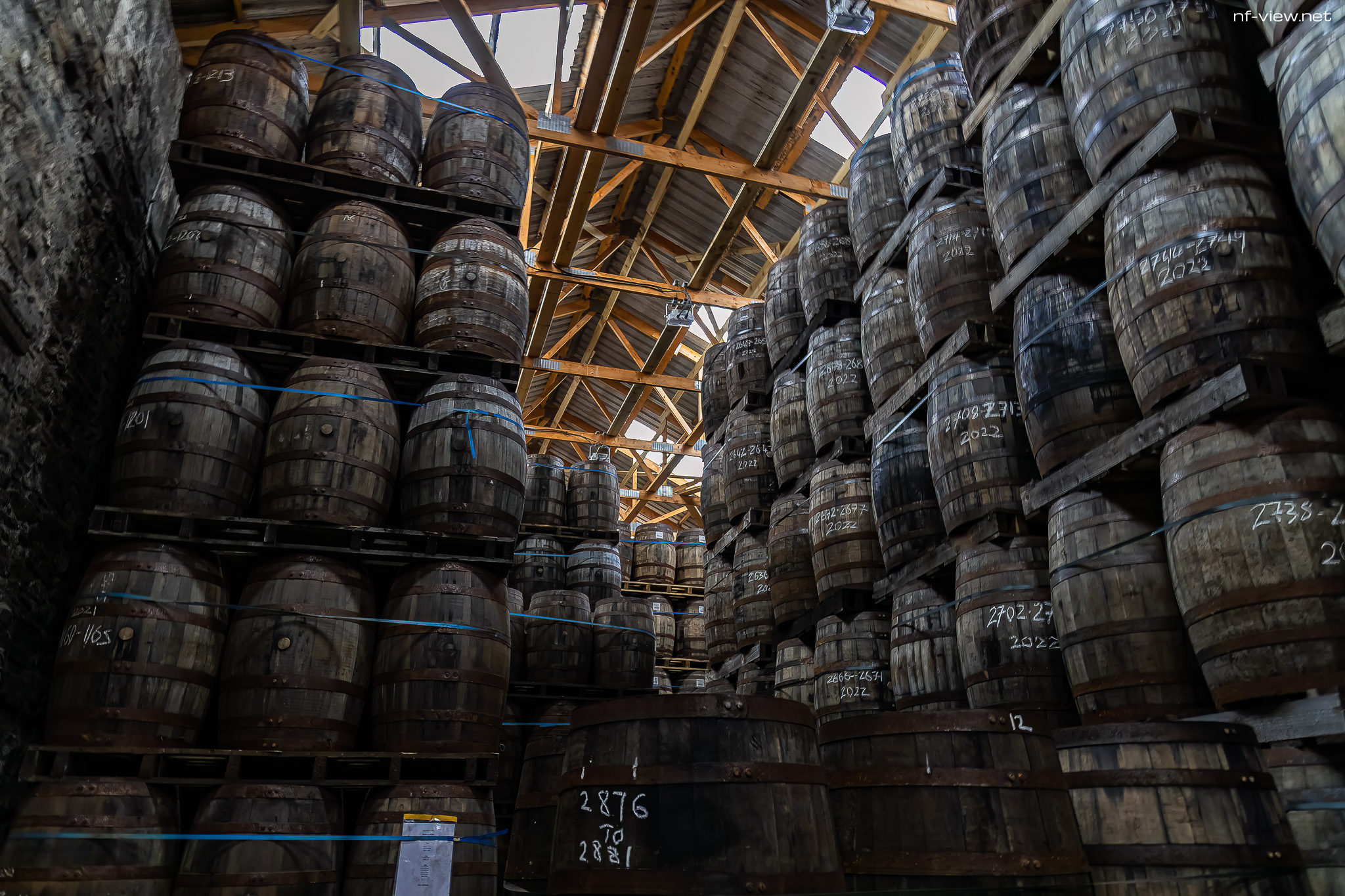 20221102-BD5A2380-SCO2022-Glen Scotia