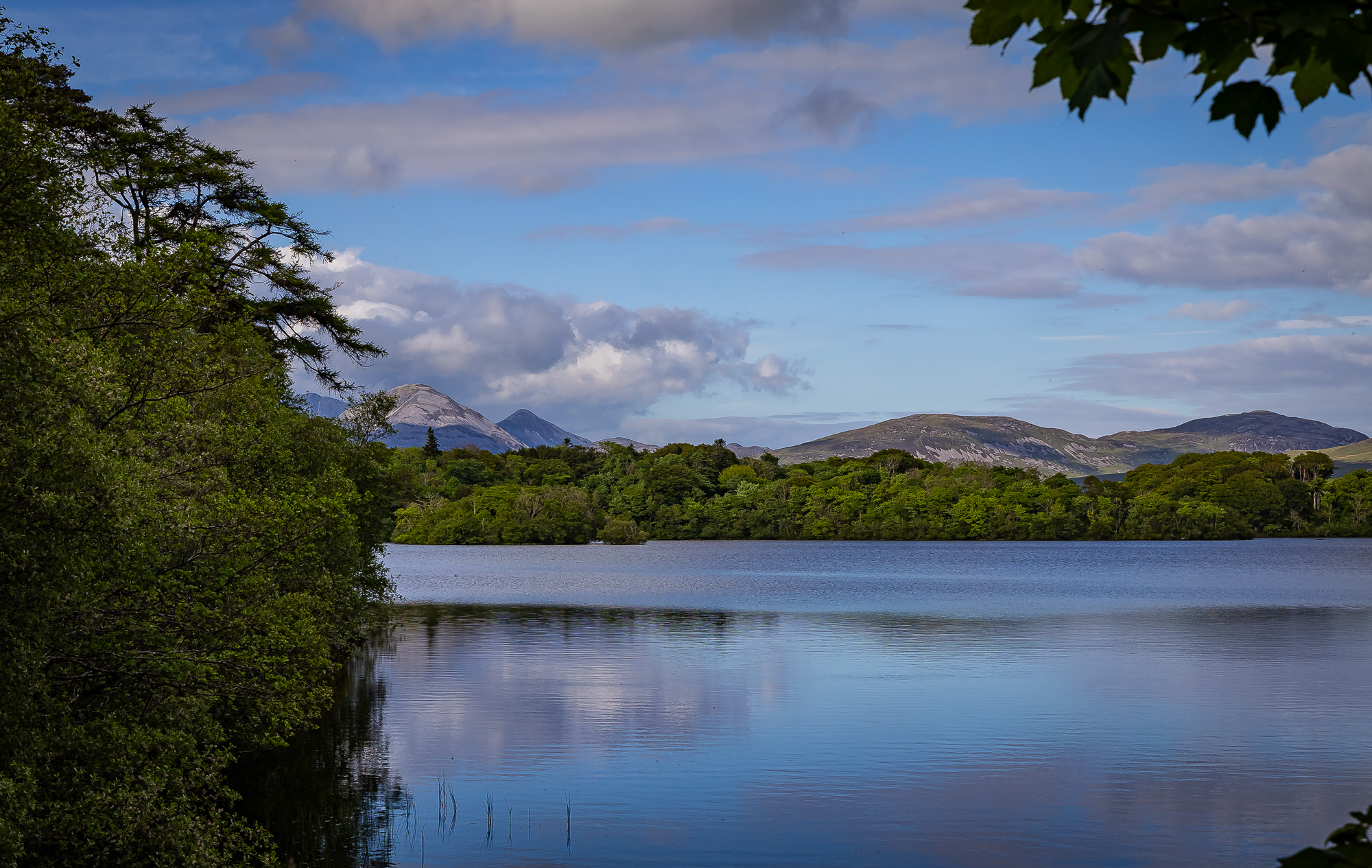 20240527-FR2A5094-SCO-Feis Ile 2024 Part 4