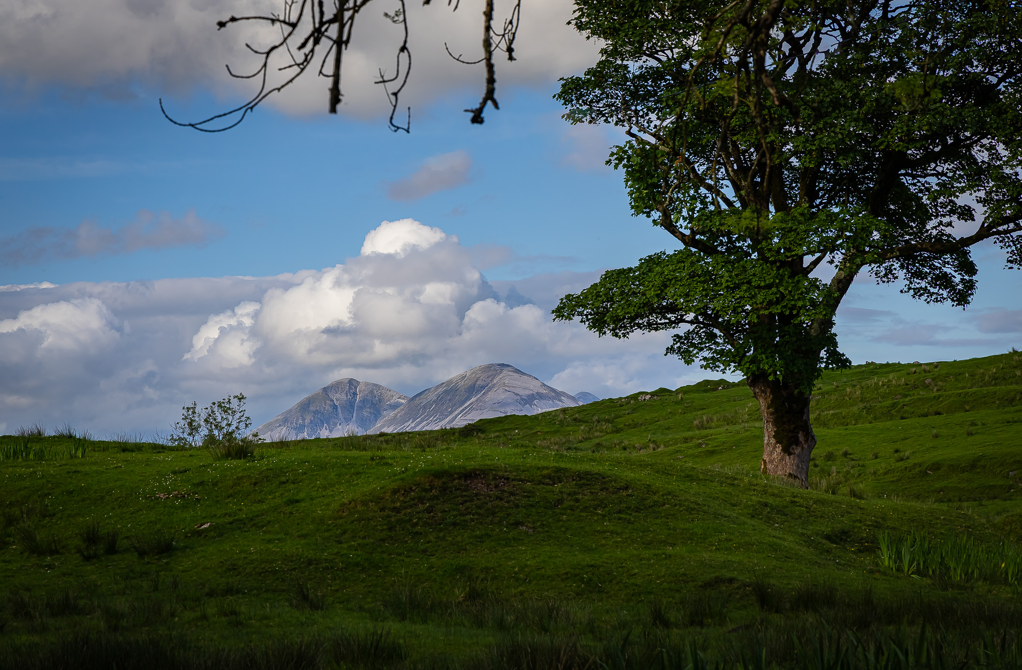 20240527-FR2A5105-SCO-Feis Ile 2024 Part 4