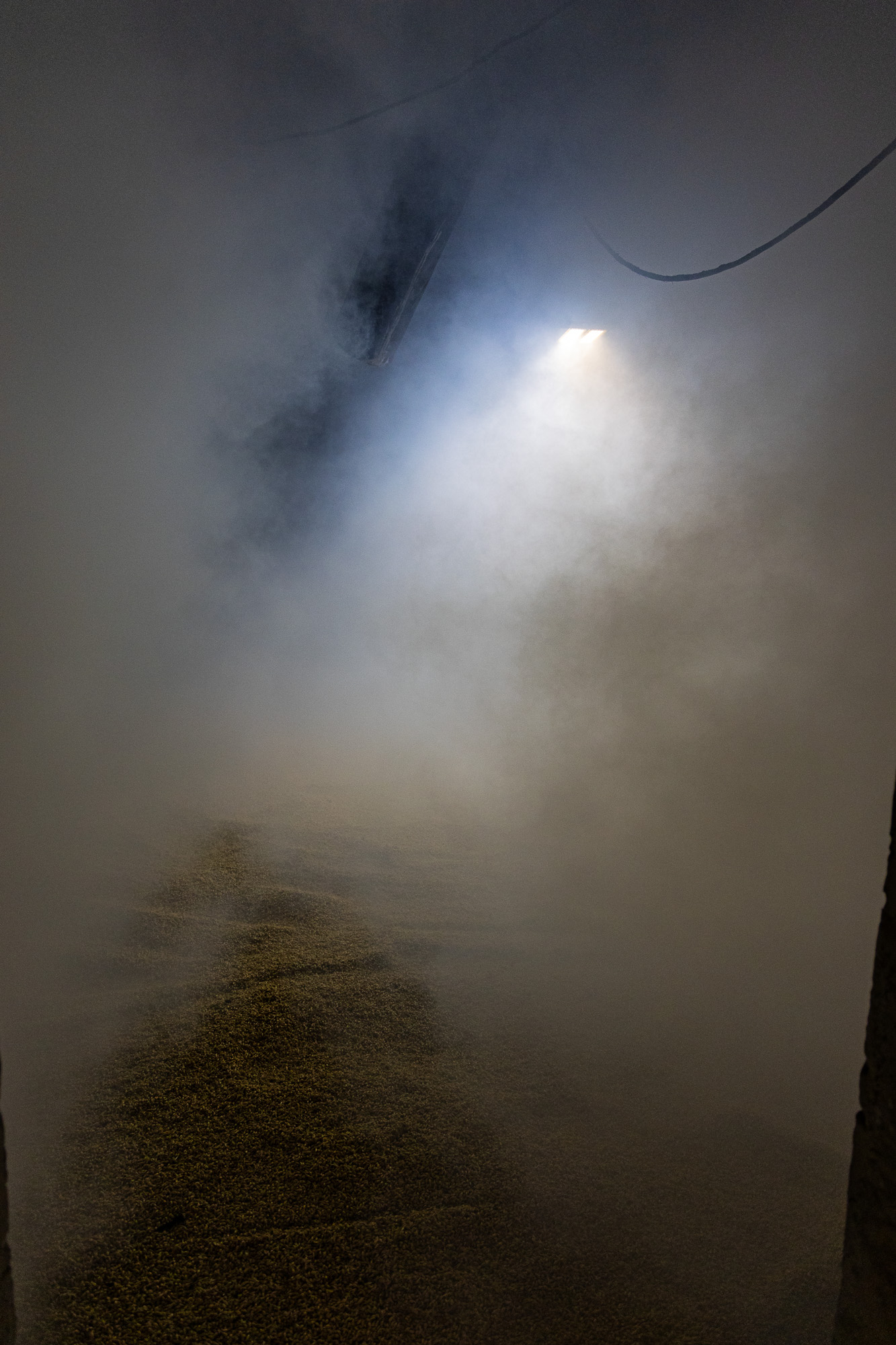 20240528-FR2A5298-SCO-Feis Ile 2024 Part 5