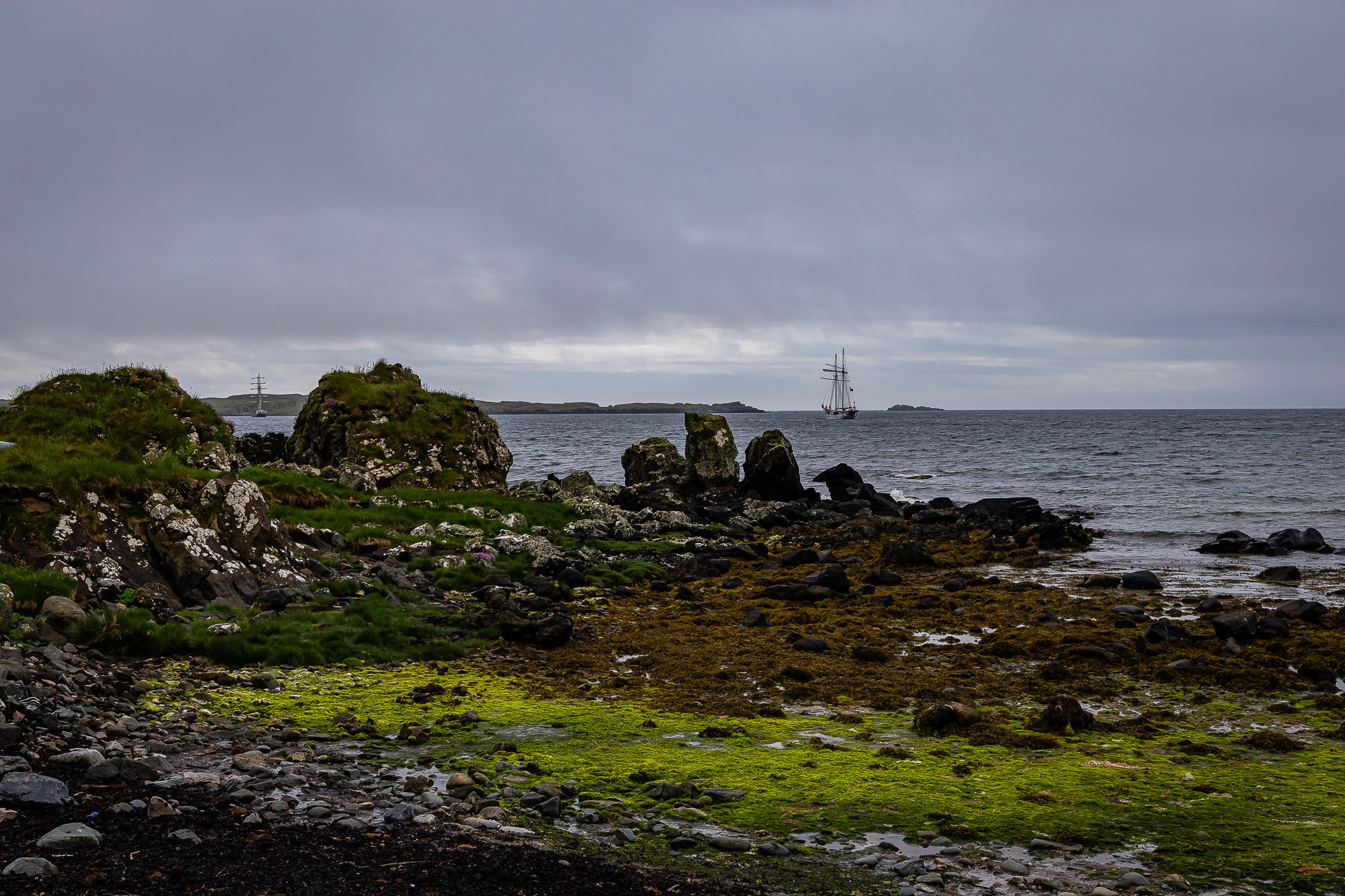 20240528-FR2A5376-SCO-Feis Ile 2024 Part 5