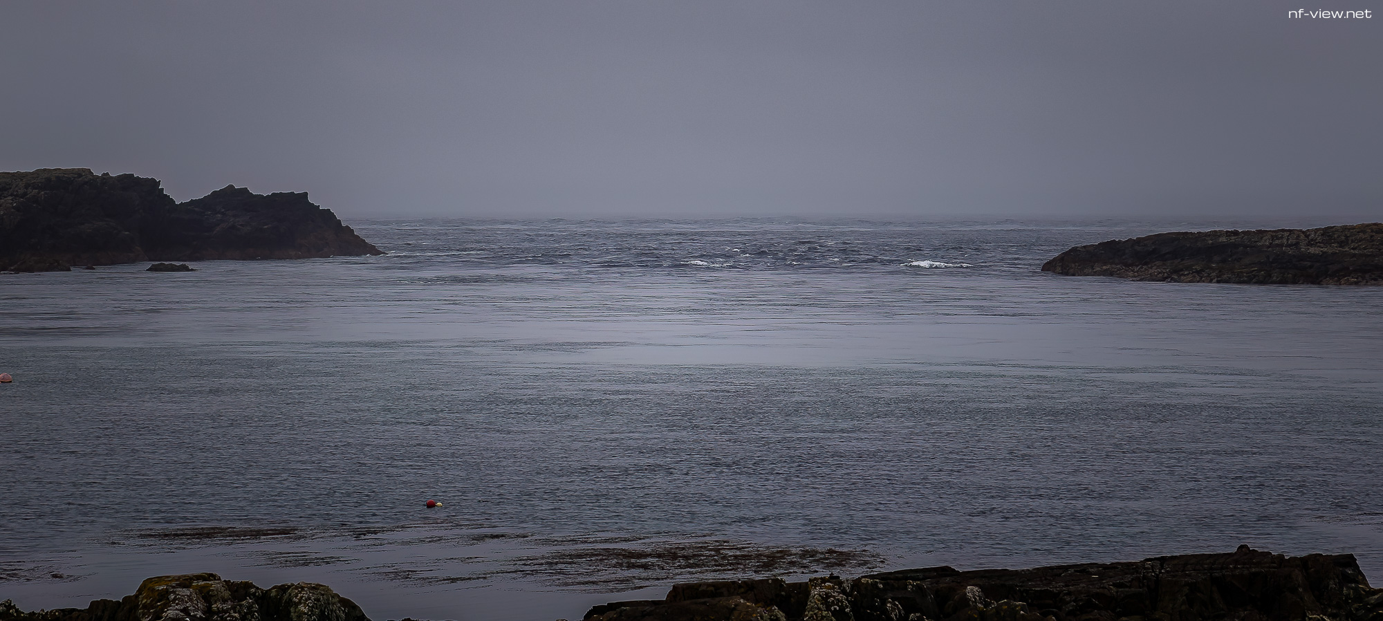 20240602-FR2A8412-Bearbeitet-SCO-Feis Ile 2024 Part 10