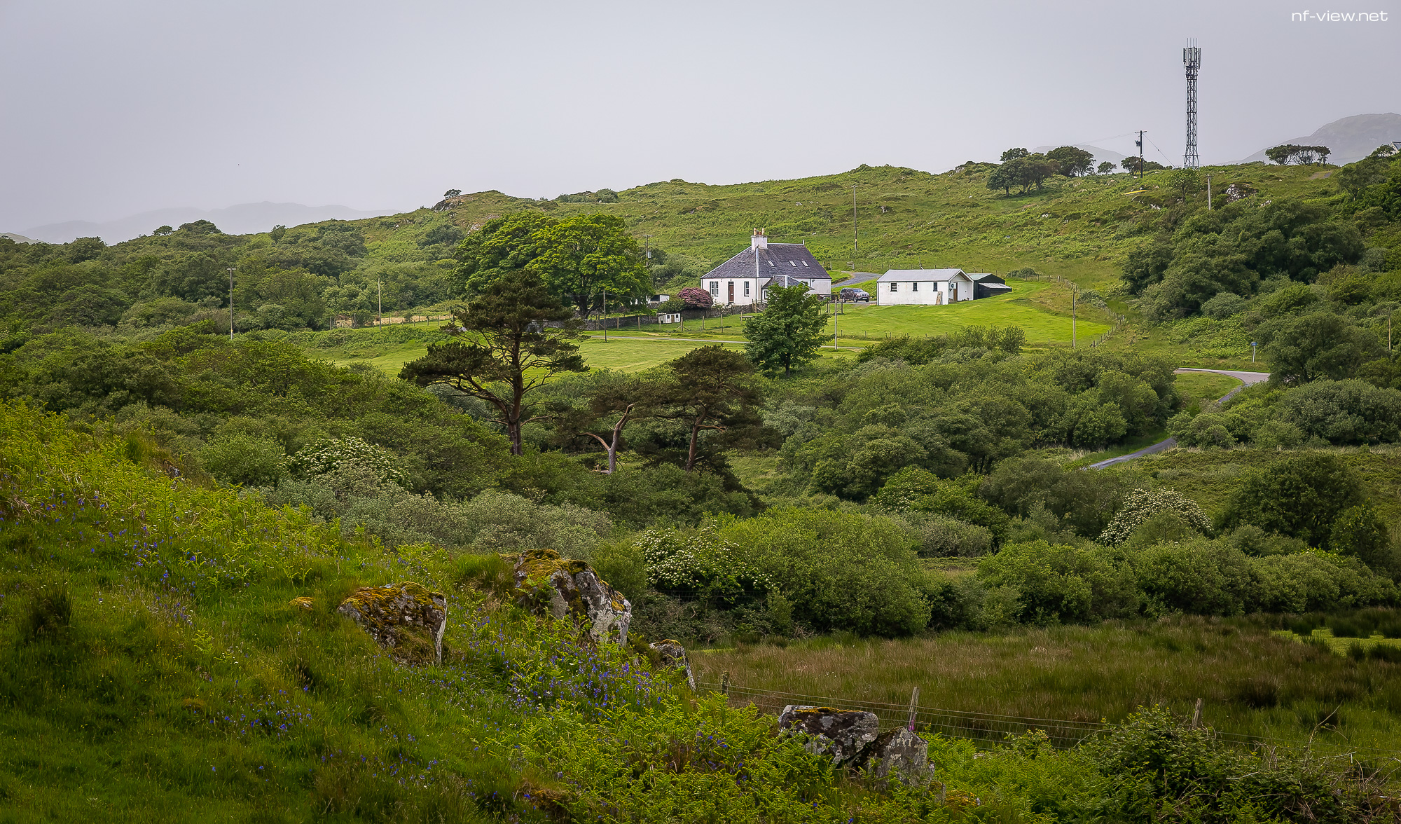 20240602-FR2A8453-Bearbeitet-SCO-Feis Ile 2024 Part 10