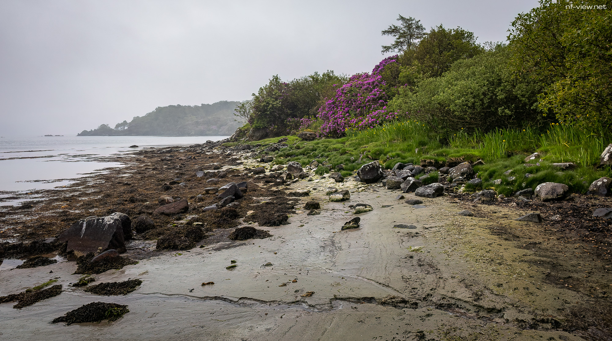 20240602-FR2A8477-Bearbeitet-SCO-Feis Ile 2024 Part 10